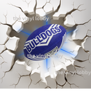 Cracked Wall NRL 20oz Skinny Tumbler Printed Paper