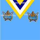 NRL 20oz Skinny Tumbler Printed Paper