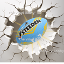 Cracked Wall NRL 20oz Skinny Tumbler Printed Paper