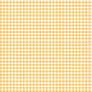 Gingham 20oz Skinny Tumbler Printed Paper