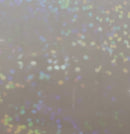 Transparent Glitter Overlay Permanant Adhesive Vinyl