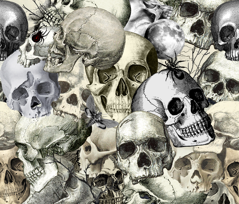 20oz Skinny Tumbler Printed Paper - Skulls Spiders