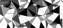 Geometric Print