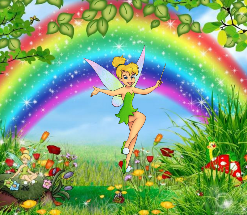 20oz Skinny Tumbler Printed Paper - Rainbow Fairy