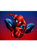 Kids Sippy Cup 12oz Printed Sublimation Paper - Spider Red Suit