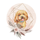 Cute Poodle Printed Sublimation Paper for 11oz mug