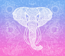 Printed Sublimation Paper for 20oz  Skinny Tumblers - Mandala Elephant