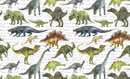 12oz Sublimation Flip Top Water Bottle Print - Hand Drawn Dinosaurs