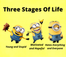 20oz Skinny Tumbler Printed Paper - Three Stages of Life