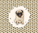 20oz Skinny Tumbler Printed Paper - Pug