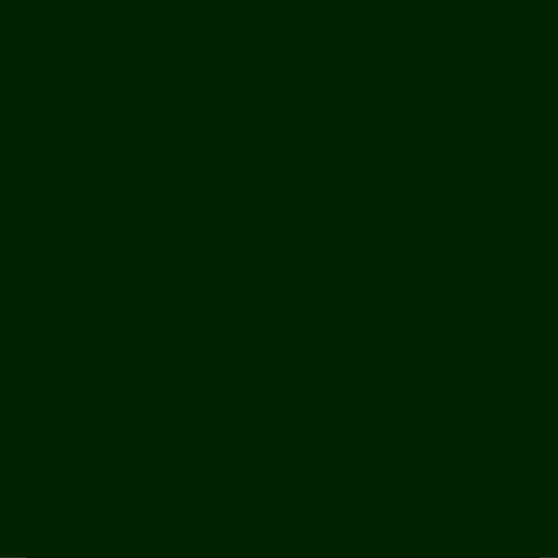 SISER  HTV - Dark Green 30cm x 50cm
