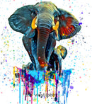 Colourful Elephant Sublimation Paper for 11oz mug