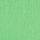 Cardstock Spearment