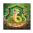 20oz Skinny Tumbler Printed Paper - Wizard Snake