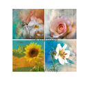 Flowers Sublimation Coaster Prints 4 Per Pkt 4"x4"