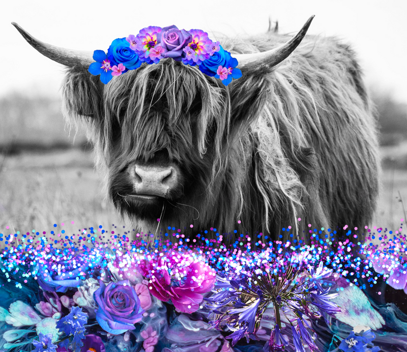 20oz Skinny Tumbler Printed Paper - Purple/Blue Highlander Cow