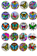 Butterflies Pop Socket Sublimation Printed Paper