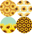 Sunflower Pattern