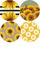 Sunflower Pattern
