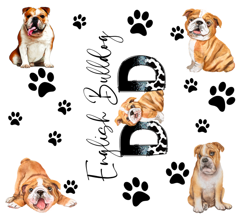 English Bulldog Dad 20oz Skinny Tumbler Printed Paper