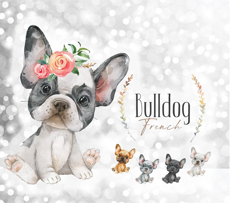 20oz Skinny Tumbler Printed Paper - French Bull Dog