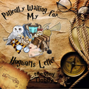 20oz Skinny Tumbler Printed Paper - HOG Letter