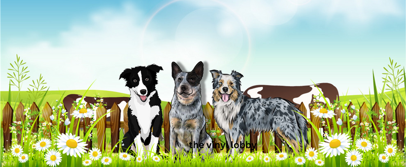 Border Collie's with daisy's printed Sublimation Paper for 11oz mug