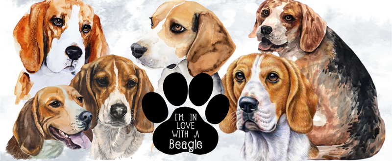 I Love my Beagle printed Sublimation Paper for 11oz mug