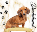 Marble Dachshund 20oz Skinny Tumbler Printed Paper