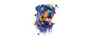 Colorful Rottweiler Printed Sublimation Paper for 11oz mug