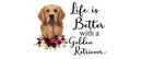 Life is Better with a Golden Retriever Printed Sublimation Paper for 11oz mug