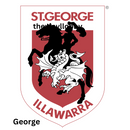 George 20oz Skinny Tumbler Printed Paper